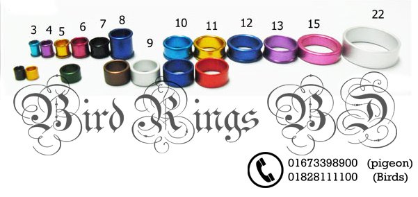 Custom pigeon rings, made for your loft
