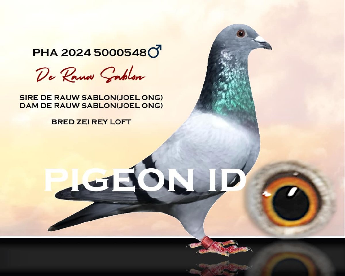 breed ni zei
