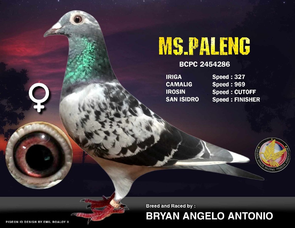 ms.paleng