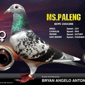 ms.paleng